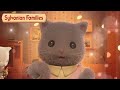 The Persian Family 🐱 Mini Episodes Season 4 -Peony- #3 | Sylvanian Families