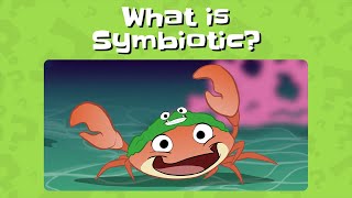 Evidence based Teaching Tools for Kids: What is Symbiotic? by Big Word Club 64,353 views 11 months ago 1 minute, 37 seconds