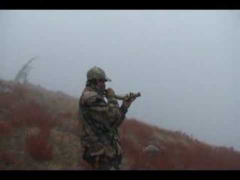 elk call in the mist of camp xray