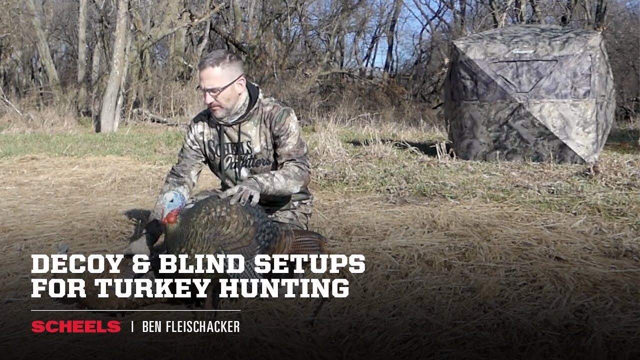 Decoy & Blind Setup for Turkey Hunting SCHEELS YouTube