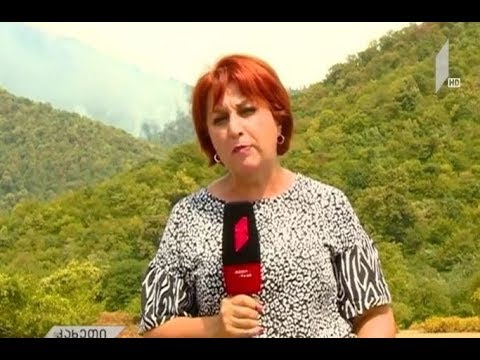 ხანძარი ყვარლის რაიონში