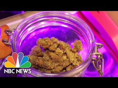 Legalized: A Year In The Lifestyles Of Colorado's Appropriate Weed Experiment | NBC Knowledge thumbnail