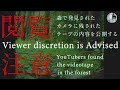 恐怖のアプリ「ランドノーティカ」で発見されたビデオテープの内容を公開シます