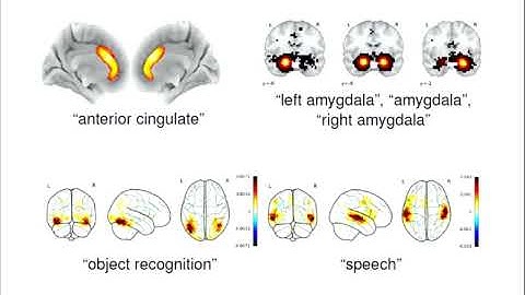 OHBM 2018 | Oral Session | Jerome Dockes | Encoding models for the Cognitive Neuroscience Literatu…
