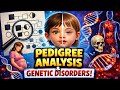 Pedigree analysis | to find the genetic disorders by tracing the family tree