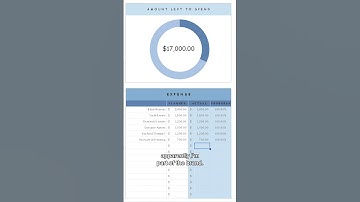 Reply with “budget” and I will send you the template I use ✨💰