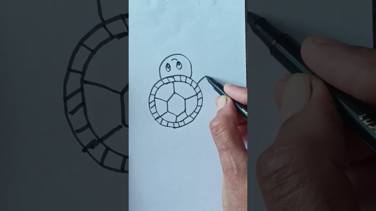 How to Draw Easy Turtle Birds Eye View: Simple Step-by-Step Guide