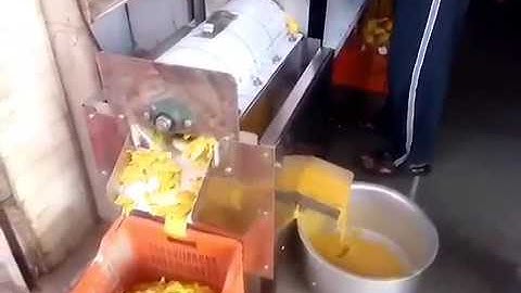 Mango Pulp machine
