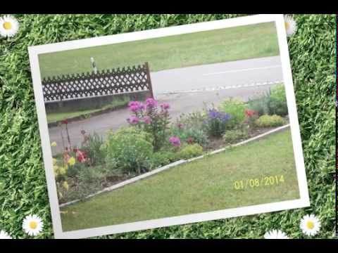 Gartenimpressionen - YouTube
