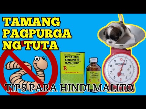 Video: Checklist Ng Puppy-Proofing - Paghahanda Para Sa Bagong Tuta