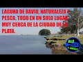 #LAGUNA DE #BAVIO#PESCA#NATURALEZA#FAUNA# AVES#CANOA#VARIADA#CARPAS#AIRE PURO