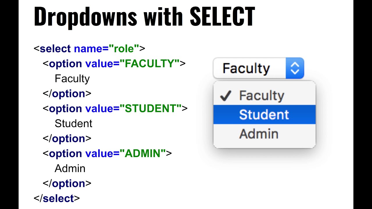 Overview of basic HTML elements - YouTube