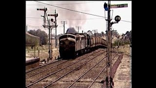 Vintage EMD power on wheat train