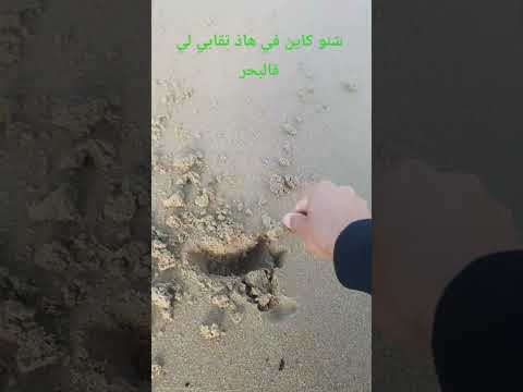 شنو كاتعني هاد تقابي لي في الرملة