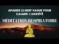 Méditation respiratoire – Apaiser le nerf vague pour calmer l'anxiété