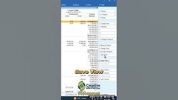 Save View:The Secrets of Tally Prime Reporting | How to use Save View option in Tally Prime #shorts