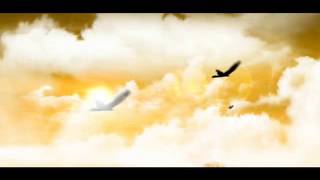 Birds flying animation
