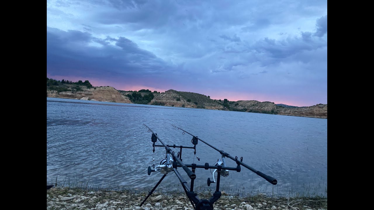 24h en Ebro, pesca de carpa