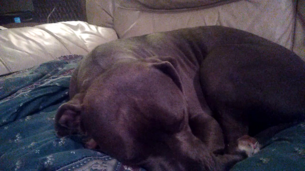 Part 1 Of Review Over The Bye Bye Man Youtube