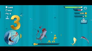 Hungry Shark Evolution 🦈 Play with me MS Gamer#viral #video