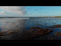 Nordsee von oben (2019) -  Mavic Air Cinematic Video Shot