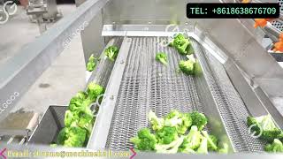 Broccoli Bubble Washer Cleaning Production Line