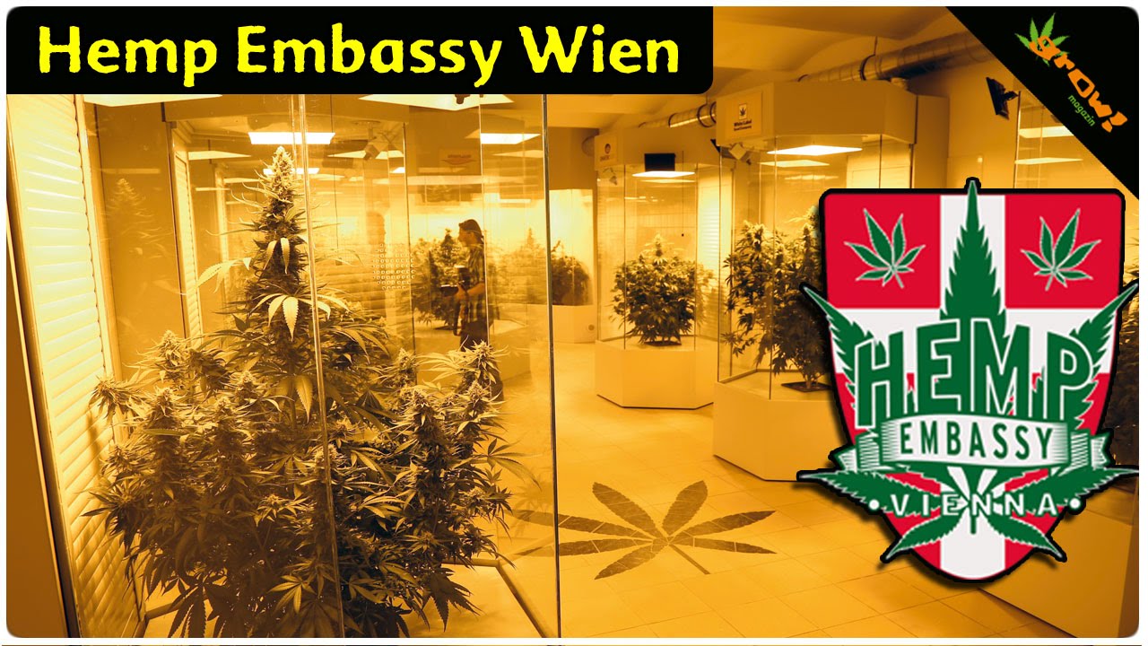 Hemp Embassy Vienna