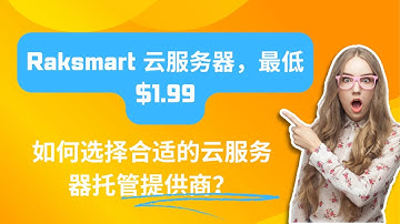 如何选择合适的云服务器托管提供商？ - Raksmart