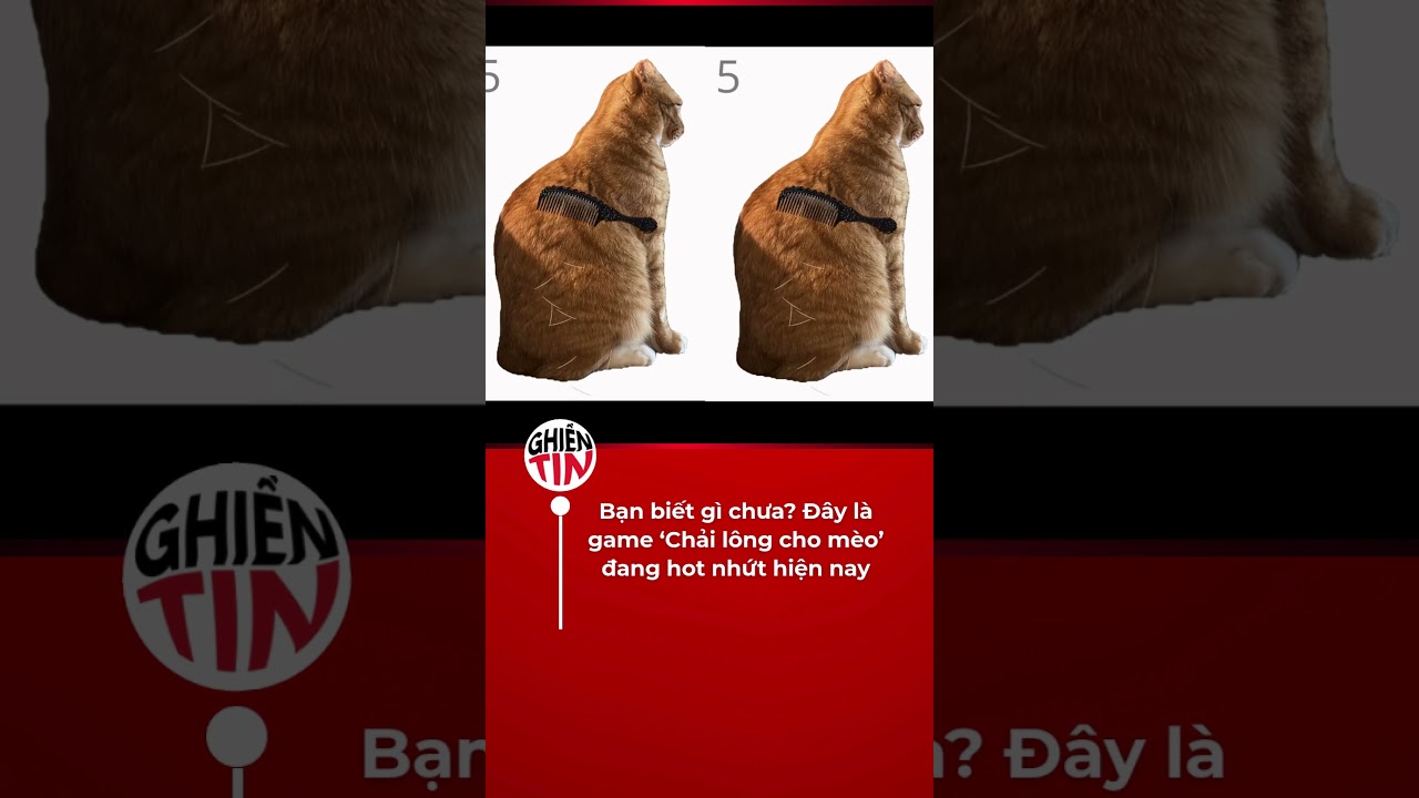 á»ž nhÃ  chÃºng tui die má»—i ngÃ y vÃ¬ con má»“n lÃ¨o nay láº¡i thÃªm cÃ¡i game nÃ y ná»¯a thÃ¬ cháº¯c die thÃªm láº§n ná»¯a