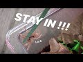 Unboxing 6 TARANTULAS and putting them TOGETHER ~ Stop coming out !!!