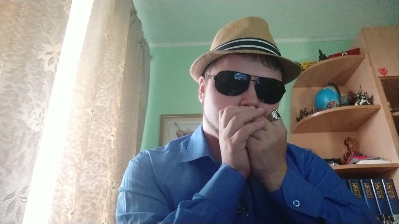 Adele -- Skyfall harmonica cover