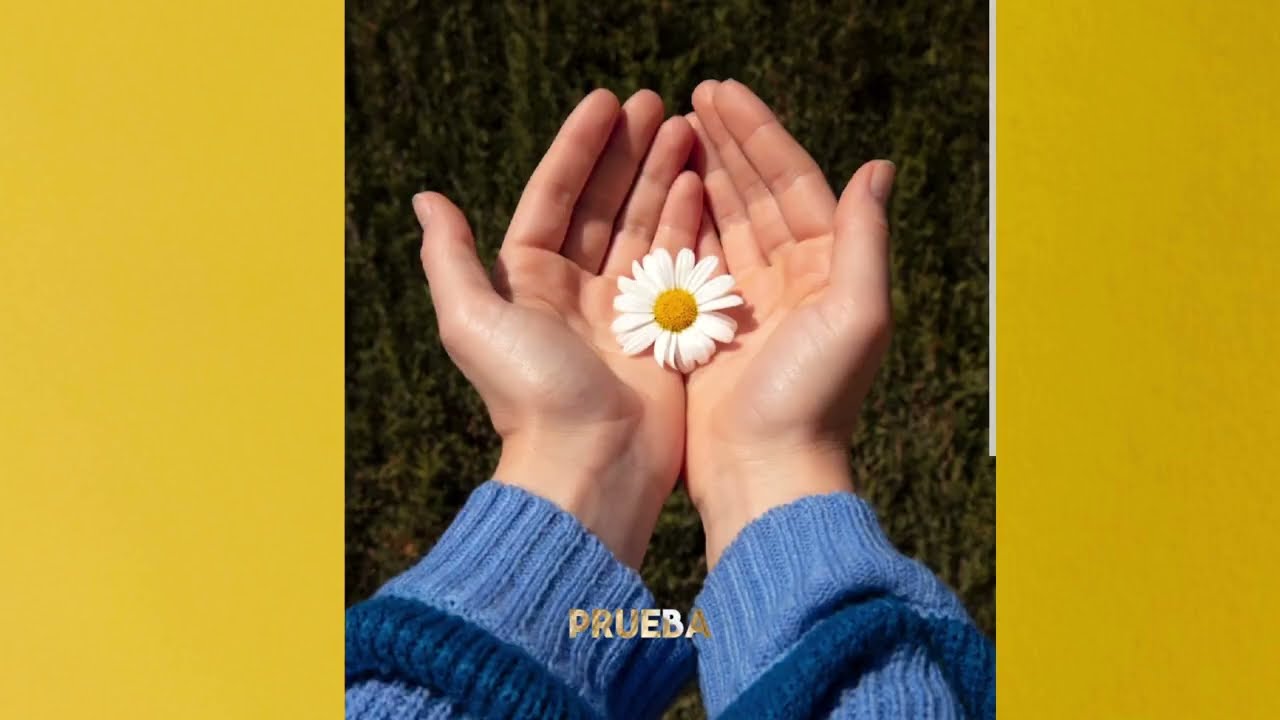 PNL Transformacional