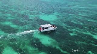 Sunshine Watersports Destin | dolphin tour near me | +18508372299