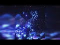 Infinity SLOWED TO PERFECTION REVERB Frequency NEIN2558 