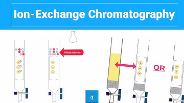 Ion Exchange Chromatography (with animation)