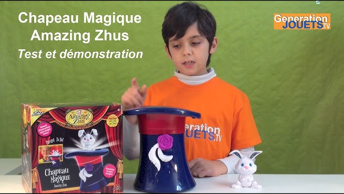 Chapeau Magie 200 Tours Zig Zag jeux action : King Jouet, Magie et  accessoires Zig Zag jeux action - Fêtes, déco & mode enfants