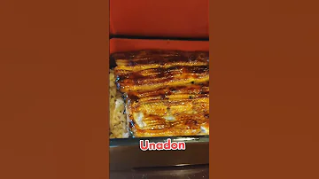 The Expensive Dish In Japan Unagi Eel 