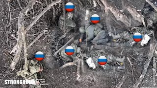 This is what Ukrainian FPV Drones did to Russian Soldiers Hiding in Trenches