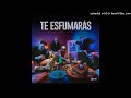 Luis Alfonso Partida El Yaki, Lefty SM-  Te Esfumarás (Audio)