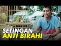 Belajar Kenari Setingan Kenari Anti Birahi Mp3 - Mp4 Download