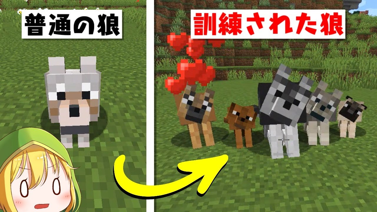 自分だけの最強のオオカミを育てる マインクラフト Youtube