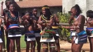 Cultural Ceremony Of The Ndebele Tribe 