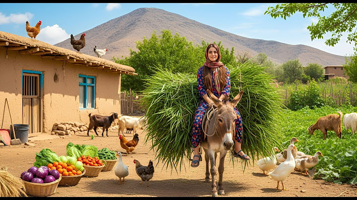 Village Life In Iran: Amazing Cooking & Donkey Riding
