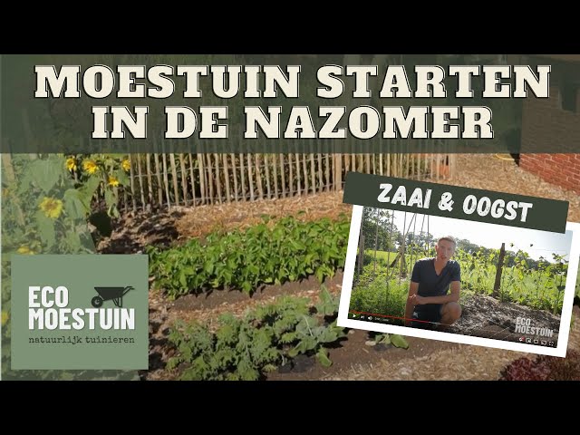 Moestuin beginnen in nazomer