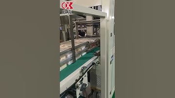 Palletizing Robot