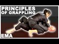 The 5 basic principles of grappling for mma