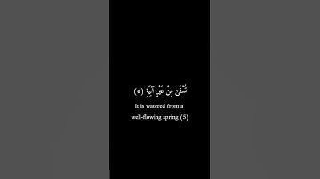 كرومات سوداء _ عمرو علي الترباني _ سورة الغاشية #كرومات_سوداء #قران_كريم #تلاوات #قران