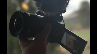 Canon EOS M50 24 - 120 FPS video test also in 4k!
