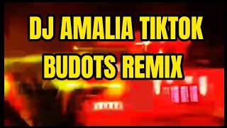 DJ AMALIA / VIRAL TIKTOK - BUDOTS REMIX (DJ JONEL SAGAYNO)