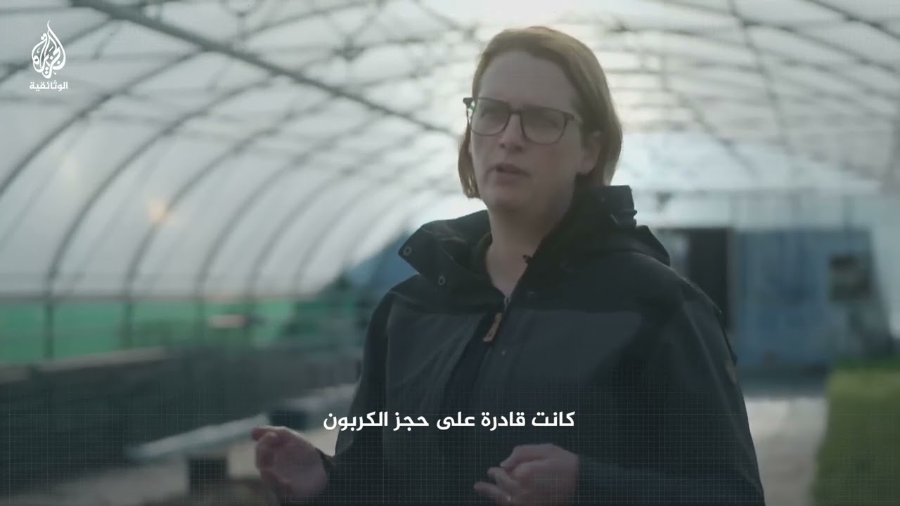 هكذا تحمينا الأشجار من تغير المناخ